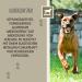 Silver Spray for Animals | Wound Healing & Protection for Dogs Cats & Pets | 100ml Aluminum Wound Disinfectant Spray - Buy Online on GoSupps.com