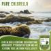 XPRS Nutra Organic Chlorella Powder - Broken Cell Wall Chlorophyll for Immunity - Vegan Friendly - 4oz - Buy Online on GoSupps.com