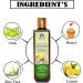 Blessfull Healing Organic Honey & Lemon Hair Cleanser | Shampoo 200 ML (Packing May Vary) - Buy Online on GoSupps.com