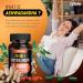 Cortisol Supplement for Women 25-in-1 Cortisol Reducer Cortisol Manager Ashwagandha for Women & Men Cortisol Supplement with Rhodiola Rosea L-Theanine for Mood Focus Sleep Support 90 Capsules 90 Count (Pack of 1) G  - Buy Online on GoSupps.com