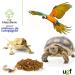 UGF Premium Dried Mealworms 1kg - Healthy Insect Snacks for Birds Reptiles & Small Pets - No Preservatives or Dyes - Buy Online on GoSupps.com