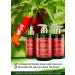 Botanical Hair Growth Treatment | Thickening Shampoo & Anti-Thinning Conditioner | Scalp Detox with Cayenne & Saw Palmetto for Men & Women - Buy Online on GoSupps.com