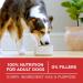 Purina ONE Dry Dog Food Chicken & Rice - 7 kg Bag 7 kg (Pack of 1) Dry Dog Food - Buy Online on GoSupps.com