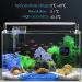 Brifit Digital Mini Aquarium Thermometer - High Precision LED Display Touch Screen Gluing-On for Fresh & Marine Water - 1 Piece Black - Buy Online on GoSupps.com