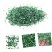 VINTORKY 1 Glass Chip Retro Vase Shiny Nail Glitter Vintage Accessories Nail Gem Bulk Vintage Glass Vase Crushed Irregular Glass Nail Art Accessories Punk Accessories Manicure Filler 0.5X0.3cm Green - Buy Online on GoSupps.com