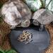 Lezevn 3Pcs Reptile Basking Platform Tortoise Feeding Dish Natural Rock Reptile Food Bowl Landscape Habitat Decor for Turtle Lizard Gecko Snake - Buy Online on GoSupps.com