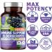 NN1N Premium 10 in 1 Immune Support Booster - Elderberry, Vitamin C, Echinacea, Zinc, Turmeric, Probiotic - 60 Veg Caps for Immune Support, Gut Health & Digestion - Buy Online on GoSupps.com