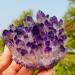 Natural Amethyst Cluster Ore Demagnetization Stone Purification Decoration Can be Used for (Size : 350-400g) ningxiao - Buy Online on GoSupps.com