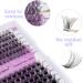 D Curl Cluster Lashes 0.07mm 12-16mm C4+ZW Mixed DIY Lash Extensions | Reusable Soft Wispy Individual Clusters | RR-12-16mm Classic/Mega-0.07D - Buy Online on GoSupps.com