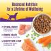 Wellness Grain Free Chicken Stew Canned Dog Food, 12.5 oz (Pack of 12) - Thick & Chunky - Buy Online on GoSupps.com