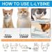 L-Lysine Powder for Cats 120g Lysine Powder Supports Cats Immune System Respiratory Health & Visual Function Lysine Powder Improve Cats Eye Discharge Pets Health Supplies Salmon Flavor - 4.23oz - Buy Online on GoSupps.com