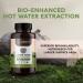 Longevity Botanicals Organic Lions Mane Mushroom Capsules - 240 ct - Mental Clarity Focus & Memory Support - 100% Fruiting Body - Buy Online on GoSupps.com