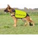 Buy Reactive Dog Jacket Vest | Dog Reactive-Medium | Warning Slogan for Safe Walks - Buy Online on GoSupps.com