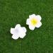 Minkissy 100Pcs 6CM Hawaiian Plumeria Foam Flowers - Artificial Frangipani for DIY Hair Hat Wedding & Beach Party Decor (White) - Buy Online on GoSupps.com