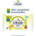 Cottonelle Kids Moist Toilet Paper - Fruity Fresh Biodegradable & Plastic-Free Advantage Pack 12x42 Wipes | Shop Internationally - Buy Online on GoSupps.com