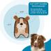 Outward Hound Invincibles Mini Plush Puppy Dog Toy - Brown XS for Small Dogs | Durable & Squeaky - Buy Online on GoSupps.com