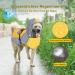 Buy Ownpets Waterproof Dog Rain Jacket with Hood | Adjustable Reflective Straps | Yellow & Gray (S) - Perfect for All Weather - Buy Online on GoSupps.com