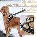 Rabbitgoo Medium Dog Harness - No Pull Adjustable & Breathable for Large Dogs - Anti-Train Control Safety Reflex Stripes - 1 Pack - Buy Online on GoSupps.com