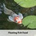 Kaytee Koi's Choice Floating Fish Food - 3 lb | Premium Koi Nutrition - Buy Online on GoSupps.com