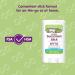 Boogie Wipes Baby Sunscreen Stick SPF 50 - 0.49 Oz (Pack of 3) | Zinc Oxide, Water Resistant, Naturally Derived for Kids - Buy Online on GoSupps.com
