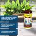 Tetramin Crisps Fish Feed - High Nutritional Value for Tropical Decorative Fish | 250 ml / 60 g Pack | International Shipping Available - Buy Online on GoSupps.com