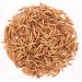 Dried Mealworms 500g 3250ml - Premium Quality Treat for Birds Hedgehogs Turtles Reptiles Fish Rodents - Buy Online on GoSupps.com