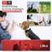 LIOLUX Dog Whistle with Clicker & 21 Pipe Band - Adjustable High Frequency Training Aid for Dogs Cats & Birds (Blue) - International Shipping - Buy Online on GoSupps.com