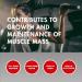 Amix Whey Protein Pure Fusion - Ultra Filtered Whey Concentrate & Isolate with L-Glutamine - 5.1 lb Vanilla for Muscle Mass Increase - International Shipping Available - Buy Online on GoSupps.com