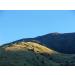 C&T Jamaica Blue Mountain Coffee AA Wallenford Estate | 500g Whole Bean Pure | Single Origin Jamaican Rarity Whole Bean Coffee - Buy Online on GoSupps.com