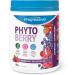 Progressive Phytoberry Supplement Powder - 900 g | Antioxidant source made with 40 fruit concentrates phytonutrients and plant oils & Progressive VegEssential All-In-One Vegan Protein 8 Servings (Pack of 1) Powder + Vegan Protein - Buy Online on GoSupps.com