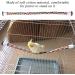 Colorful Bird Rope Bungee Toy - Flexible Parrot Ladder Swing & Cage Accessories - Buy Online on GoSupps.com
