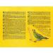 Complete Food for Budgies - 3 kg Pack | Premium Nutrition for Happy Healthy Birds - International Shipping Available! - Buy Online on GoSupps.com