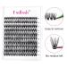 Individual Cluster Eyelashes for Extensions - 40P 0.07 D Curl Mix 8-16mm | Artificial Eyelashes for Beginners DH-40D-0.07-D - Buy Online on GoSupps.com