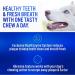Virbac CET Enzymatic Oral Hygiene Chews for Dogs - Large Size | Dental Care Treats - Buy Online on GoSupps.com
