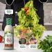 WALDEN FARM - WALDEN FARM Sauce salade Bacon Ranch - Buy Online on GoSupps.com