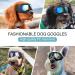 Shop UV Protective Dog Sunglasses - Windproof & Waterproof Glasses for All Sizes - Adjustable Fit for Small Medium & Large Dogs - Buy Online on GoSupps.com