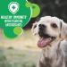 Iams Small Breed Adult Dry Dog Food Chicken 7lb - Premium Quality Nutrition for Small Dogs - Buy Online on GoSupps.com