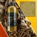 Cafe Collective Turmeric Golden Milk Latte Concentrate 1000ML - All-Natural Vegan-Friendly with Black Pepper Activation - Buy Online on GoSupps.com