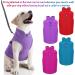 Dog Fleece Vest 4-Piece Set | Cozy Winter Jacket for Small Dogs | Pet Sweater Vest with Leash Ring | Purple Blue Rose Red - Buy Online on GoSupps.com
