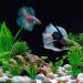 Omjmyy 21-Piece Artificial Aquarium Plants Set | Vibrant Plastic Decorations for Fish Tanks & Aquatic Landscapes - Buy Online on GoSupps.com