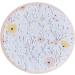 Ginger Ray Pink Flower Paper Birthday Plates | Party Tableware | Pack of 8 - International Shipping Available - Buy Online on GoSupps.com