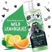 BUGALUGS Dog Shampoo All in 1 shampoo & conditioner dog grooming products for smelly dogs with Apple & Vanila fragrance best vegan pet puppy shampoo professional groom Shampoo 1x500ml - Buy Online on GoSupps.com