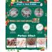 Mini Hand Cream Gift Kit-5Pcs Small Scented Hand Lotion for Dry Cracked Working Hands Natural Fragrance Moisturizing Travel Size Hand Lotion Christmas Gift Set Stocking Stuffers for Girl Women Men 50 g (Pack of 5) - Buy Online on GoSupps.com