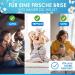 FreeClean Bio Ruchs Neutralizer Concentrate 1000ml - Extra Strong Enzyme Cleaner for Cats | Highly Concentrated Odor Remover & Textile Freshener | Made in Germany - Buy Online on GoSupps.com
