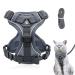 Adjustable cat dishes breakout cat dishes with a line set software for cat breasts for cats kitten dogs puppies (gray -l) ... l gray