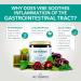 Vibe Organic Stomach Relief Powder | Heartburn & Inflammation Aid | 150g Cherry Flavor - International Shipping Available - Buy Online on GoSupps.com
