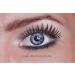 Eyecatcher 84078841-743 Colored Contact Lenses | Green - 12 Month Use - Perfect for Carnival Mardi Gras & Halloween - Buy Online on GoSupps.com