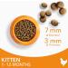 IAMS Kitten Dry Cat Food Chicken 3kg - Buy Online on GoSupps.com