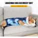 Lianzimau Dogebody for Male Dogs - Post-Op Recovery Suit & Wound Protection - Tie-Dye Blue Pet Shirt - Buy Online on GoSupps.com
