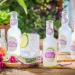 Fentimans Oriental Yuzu Tonic 200ml x 4 - Exotic Flavour Pack - Buy Online on GoSupps.com